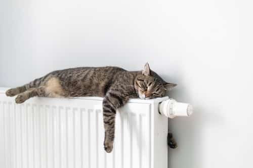 Chauffagiste Salon-de-Provence - Un chat dort sur un radiateur.