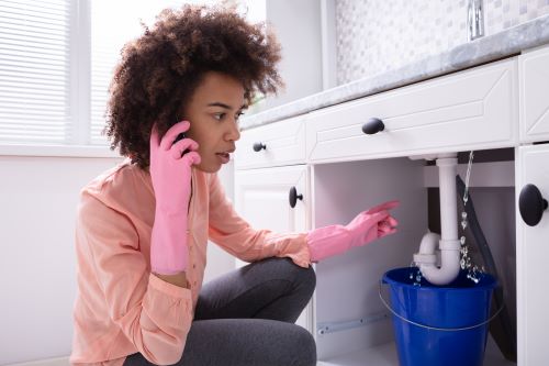 Plombier Saint-Genis-Laval - Une femme constant une fuite d'eau sous son évier