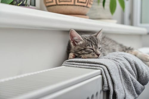 Chauffagiste Caluire-et-Cuire - Un chat se relaxe sur un radiateur.
