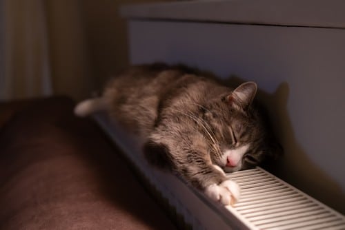 chauffagiste Couëron - Un chat se repose sur un radiateur.