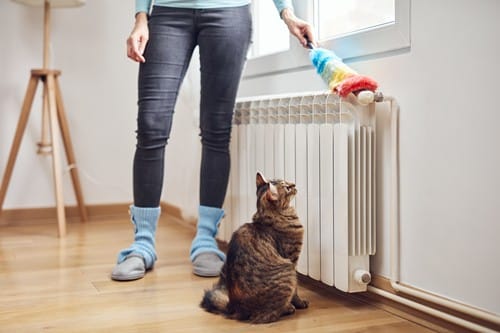 chauffagiste Montluçon - un chat observe sa maitresse nettoyer le radiateur