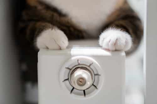 chauffagiste Olivet - Un chat se réchauffe sur un radiateur