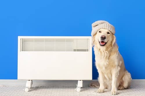 chauffagiste Poissy - Un chien se tient au chaud