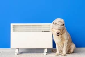 chauffagiste Mougins - Un chien se réchauffe près du radiateur