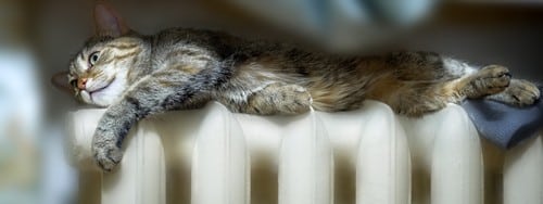 Chauffagiste Anstaing - les bons artisans - chat sur un radiateur