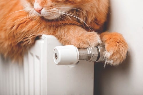 Chauffagiste Betton - les bons artisans - chat couché sur un radiateur