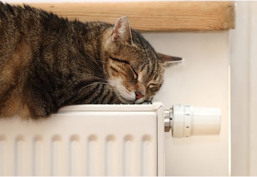 Chauffagiste Lézignan-Corbières - les bons artisans - chat couché sur un radiateur