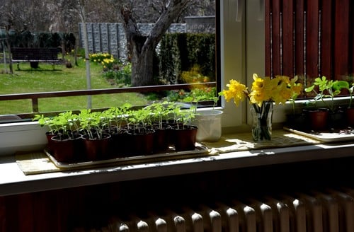 Chauffagiste Mayenne - visuel d'un chauffage avec des plantes au dessus