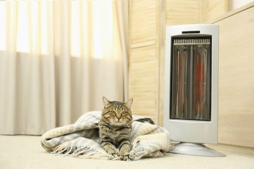 Chauffagiste Saint-Martin-Boulogne - chat posé devant un chauffage