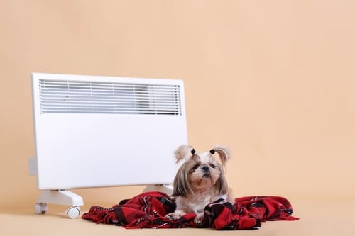 Chauffagiste Senlis - visuel d'un chauffage avec un chien posé devant