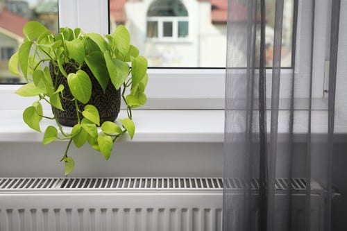 chauffagiste Saint-Paul-lès-Dax - Un radiateur